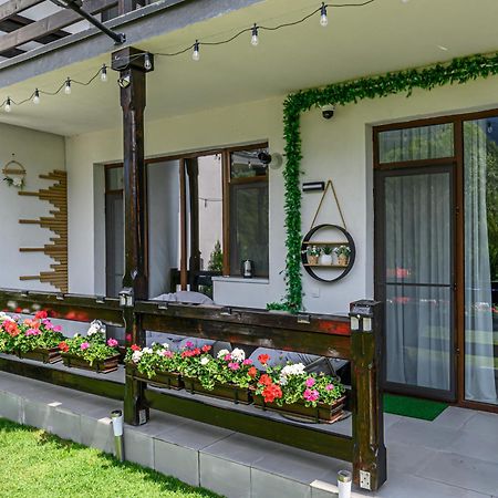 Ama Garden Apartment Buşteni Εξωτερικό φωτογραφία